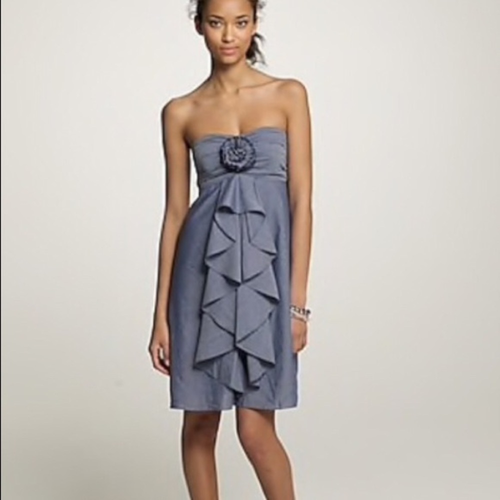 J Crew Wild Rose Chambray Dress